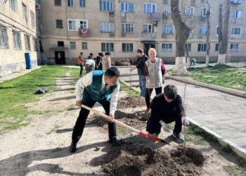Жамбылда «Үлгілі аула» облыстық конкурсы өткізілді