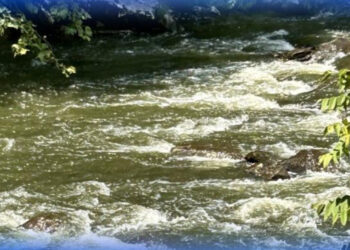 Жамбылдық диқандарға былтырғыға қарағанда екі есе көп су берілді