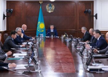 Үкімет басшысы Шетелдік инвесторлар кеңесінің аралық отырысын өткізді