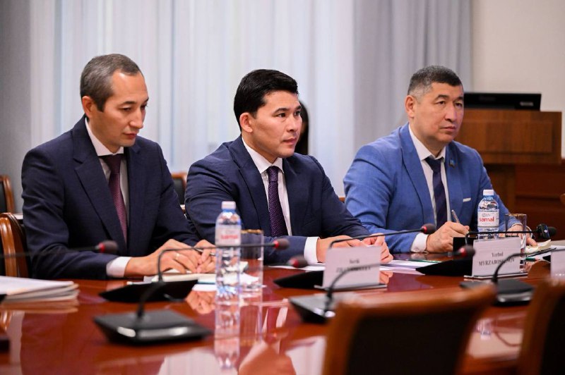 Қазақстан фристайлда әлемдегі көшбасшы төрт елдің бірі ретінде аталды