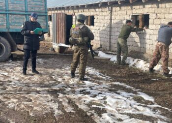 Қазақстан мен Өзбекстан шекарасында жасырын тоннель табылды