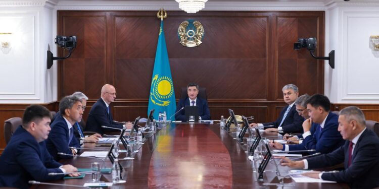 Үкімет Қызылордадағы егін алқаптарын сумен қамтуға 1 млрд теңге бөлді