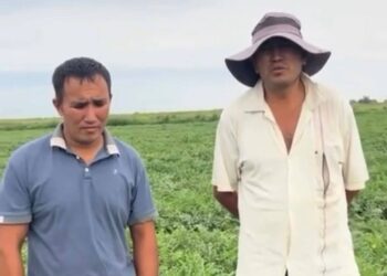 Шу ауданының шаруалары суды қажетті көлемде ала алмай отырғаны рас па