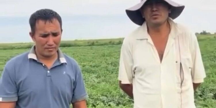 Шу ауданының шаруалары суды қажетті көлемде ала алмай отырғаны рас па
