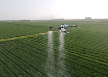 Жамбыл облысында агродрондар өндірісі жолға қойылды