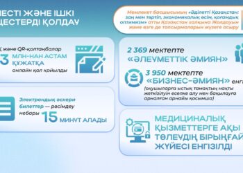 2024 жылғы Жолдау: азаматтарға ыңғайлы әрі ашық цифрлық қызметтер