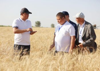 Жамбылда 300 млрд теңгеден асатын 20 агрожоба жүзеге асады