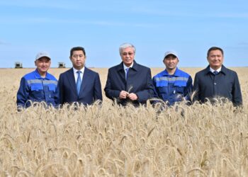 Мемлекет басшысы Ақмола облысындағы егін жинау науқанымен танысты