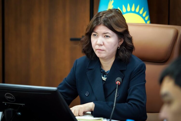 Жұлдыз Сүлейменова ҮЕҰ өкілдерімен кездесті