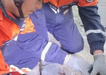 Таразда құтқарушылар баланың саусағын шығарып алуға көмектесті