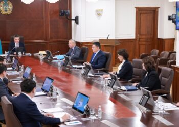 Медицина және МӘМС жүйесін жаңғырту: Үкімет Мемлекет басшысының тапсырмасын орындау барысын қарады