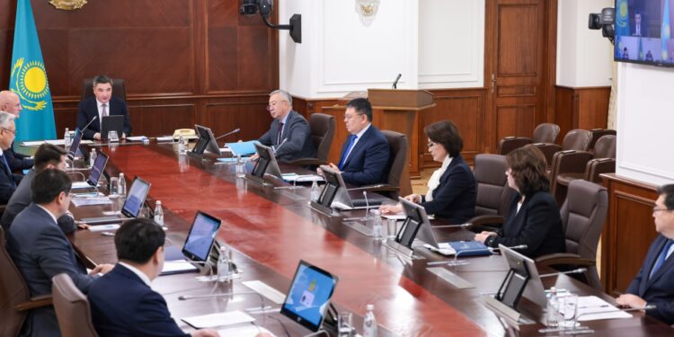 Медицина және МӘМС жүйесін жаңғырту: Үкімет Мемлекет басшысының тапсырмасын орындау барысын қарады