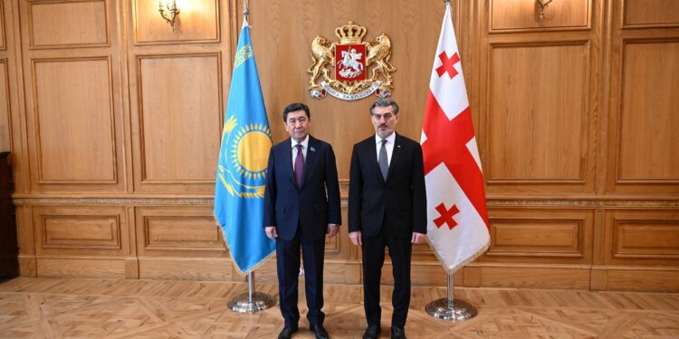 Мәжіліс төрағасы Грузияға ресми сапармен барды