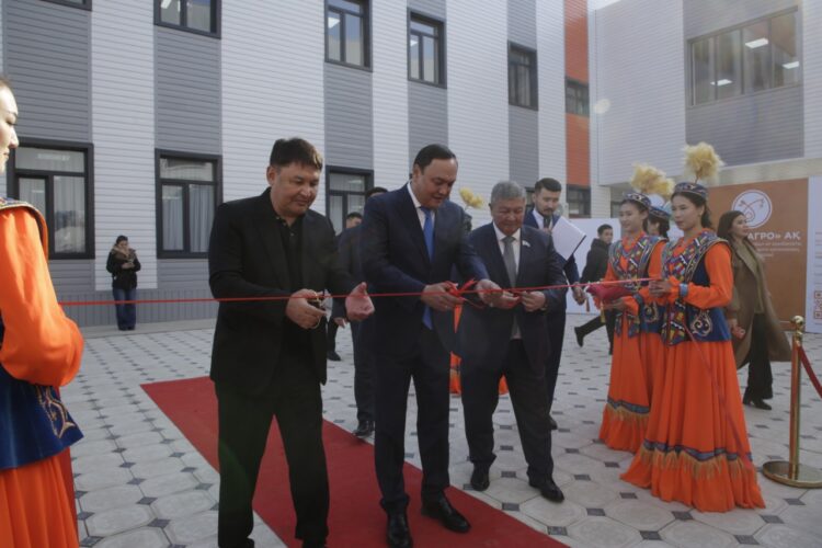 804 күн. 5 жаңа және жаңартылған өндіріс орындары