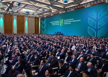 Тоқаев ет өнімдерін үздіксіз экспорттау үшін әуе тасымалдау әлеуетін белсенді қолдануды тапсырды