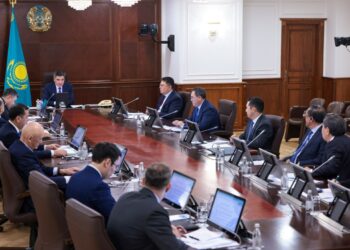 Бектенов Президент тапсырмаларын жүзеге асыру аясында Алатау қаласын дамыту жөніндегі кеңестің отырысын өткізді