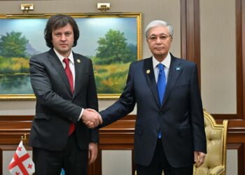 Тоқаев Грузия Премьер-министрімен кездесті