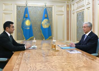 Президент «Бәйтерек» ұлттық инвестициялық холдингінің төрағасын қабылдады