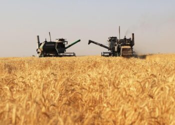 Жамбыл облысының агросекторына шамамен 30 млрд теңге субсидия бөлінді