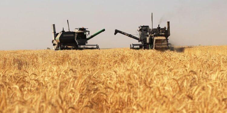 Жамбыл облысының агросекторына шамамен 30 млрд теңге субсидия бөлінді