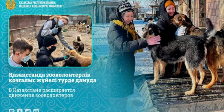 Қазақстанда зооволонтерлік қозғалыс дамып келеді