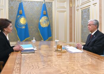 Президент Премьер-министр орынбасары Аида Балаеваны қабылдады