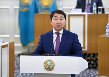 Жаңа Конституцияның жобасы: егемендік пен аумақтық тұтастық – өзгермейтін құндылықтар