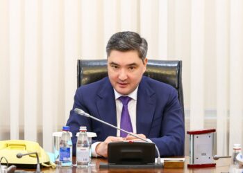 Мемлекет нақты мұқтаж жандарға ғана атаулы қолдау көрсетеді — Үкімет