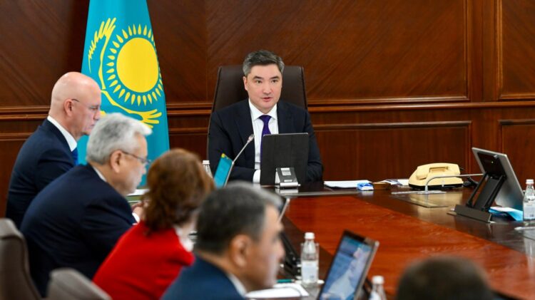 Балаева Ұлттық құрылтайдың V отырысында берілген тапсырмалардың орындалу туралы баяндама етті