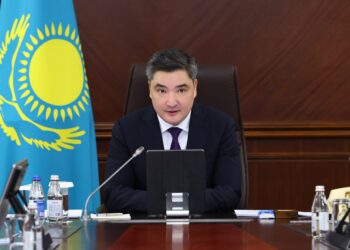Балаева Ұлттық құрылтайдың V отырысында берілген тапсырмалардың орындалу туралы баяндама етті