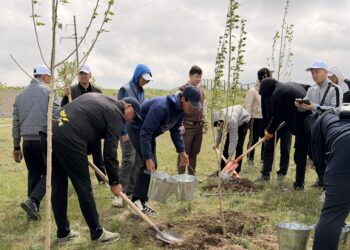 Қазақстанда «Мәдени мұраны бірге сақтайық» республикалық акциясы өтті