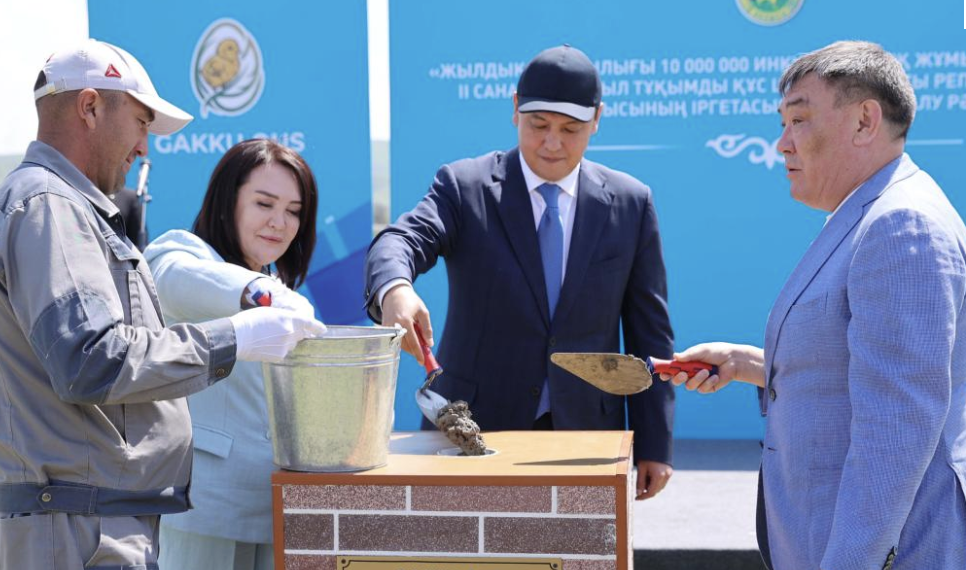 Жамбылда 60 млн инкубациялық жұмыртқа өндіретін кәсіпорынның құрылысы басталды