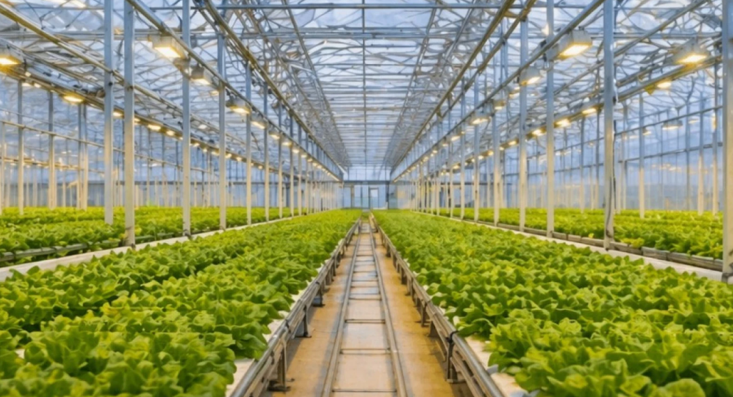 Инвестиция мен инновация: өңір дамуының жаңа кезеңі