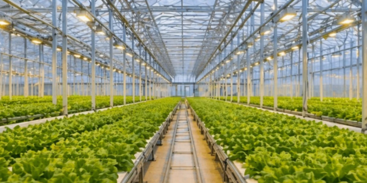 Инвестиция мен инновация: өңір дамуының жаңа кезеңі