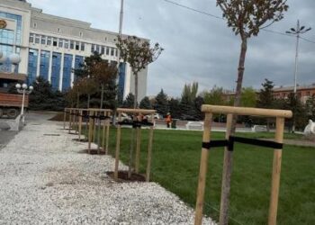 «BI Group» құрылыс компаниясы Тараз қаласына 100 түп сакура ағашын сыйға тартты