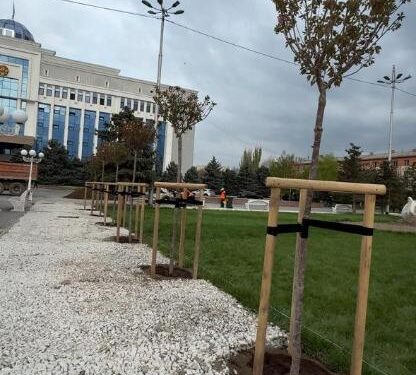 «BI Group» құрылыс компаниясы Тараз қаласына 100 түп сакура ағашын сыйға тартты