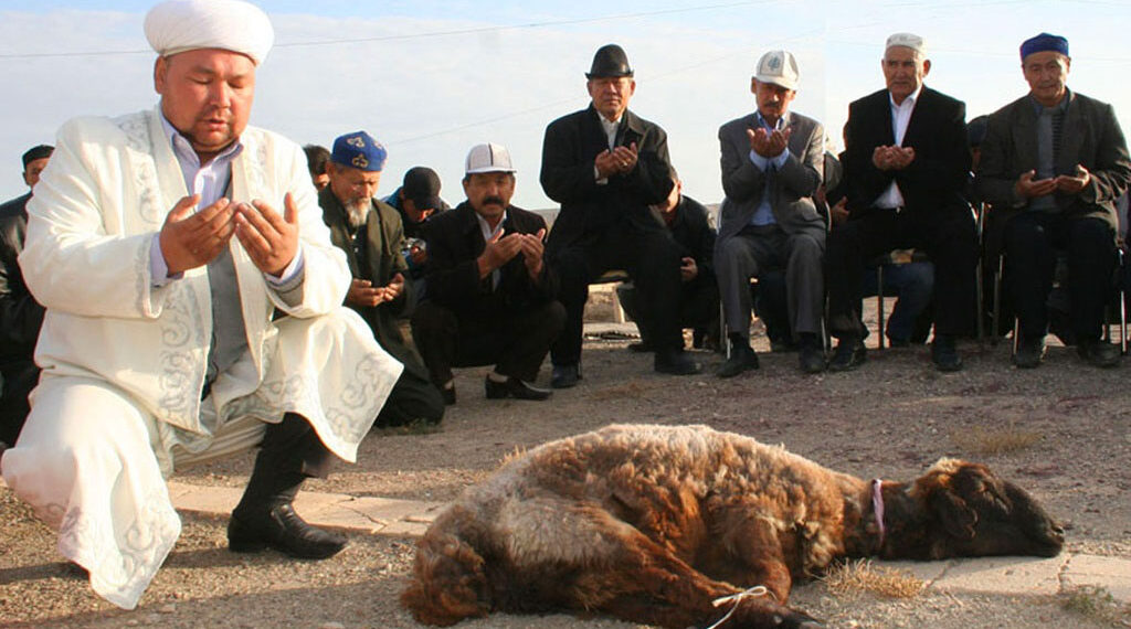 Онлайн құрбан шалуға арналған qurban2026.kz порталы ресми түрде іске қосылды