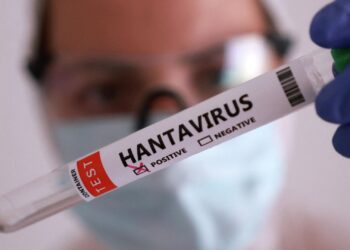 ҚР Денсаулық сақтау министрлігі: Қазақстанға Хантавирустан қауіп жоқ