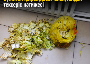 Байзақтағы мектеп асханасында бүлінген қырыққабат анықталды: тексеріс нәтижесі
