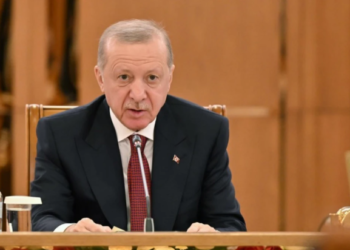 Режеп Тайип Ердоған Қазақстандағы реформалар мен екіжақты серіктестіктің маңызын атап өтті