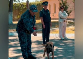 Таразда есірткі қылмысына қарсы күрестегі қызметтік иттердің жұмысы таныстырылды