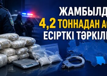 Жамбыл облысында  4,2 тоннадан астам есірткі тәркіленді