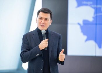 Вице — Президент Ерлан Қарин немен айналысады?