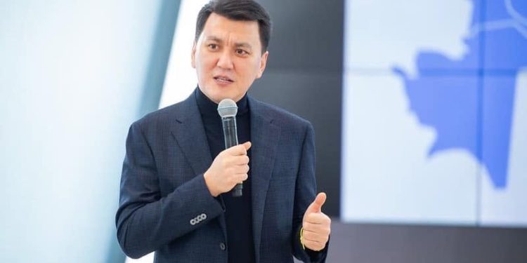 Вице — Президент Ерлан Қарин немен айналысады?