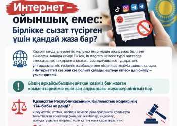 Интернет – ойыншық емес: Бірлікке сызат түсірген үшін қандай жаза бар?