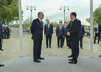 Президент Астана әкіміне ғимараттардың қабырғасына граффити салатын адамдарға қатысты қатаң шара қолдануды тапсырды