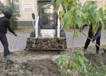Тараздың тазалығы мен жасыл келбеті – ортақ жауапкершілік