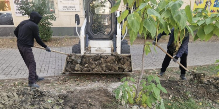 Тараздың тазалығы мен жасыл келбеті – ортақ жауапкершілік