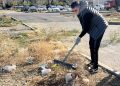 Таразда «Таза Қазақстан» акциясы аясында ауқымды жалпықалалық сенбілік өтті